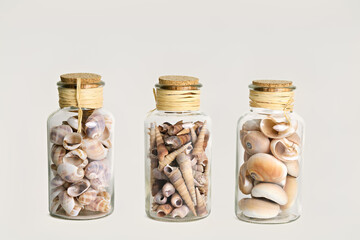 Three charming glass jars, each filled with unique seashells and sealed with a cork and twine. Perfect for beach-themed decor, souvenirs, or a collection of ocean treasures.