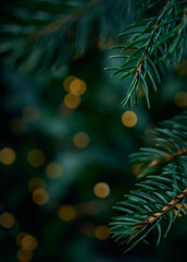 Christmas tree branch and yellow lights garlands blurred in bokeh.