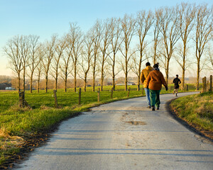 People stroll and jog along a winding rural road lined with tall, bare trees under a clear sky. A peaceful scene of outdoor activity and nature in the late afternoon.