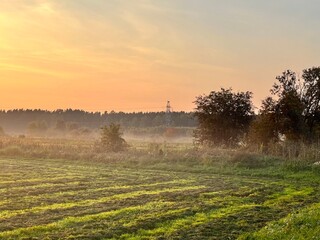 fog in the field in autumn