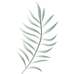 Single delicate palm frond with gradient green and silver tones against a clean white background illustrating tropical foliage and botanical elements