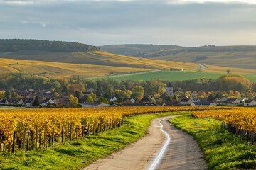 Chablis vineyard landscape with winding road leading to village in autumn