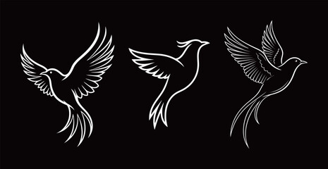 Set of three continuous white line art illustrations of elegant flying birds with detailed wings and long tails on a black background.