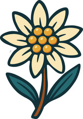 Edelweiss Flower Illustration with Leafy Stem for Nature and Herbal Concepts