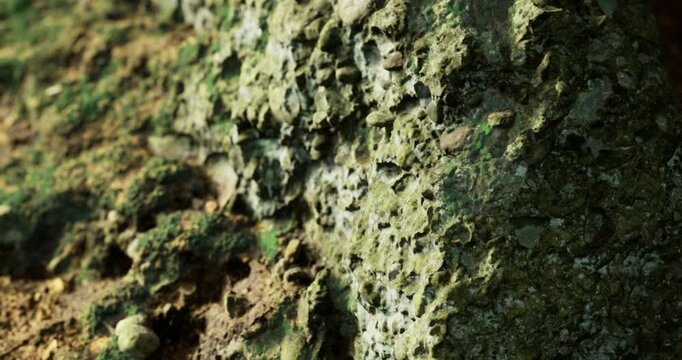 A close up view of a rocky terrain showcasing a textured surface covered with moss and small pebbles. Vibrant greens and earthy tones create a serene, natural atmosphere.