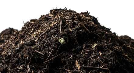 Pile of dark compost rich organic matter for gardening isolated on white background