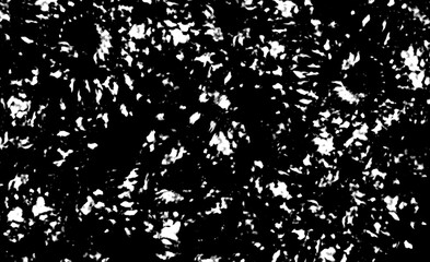 Black and white abstract grunge texture background, rough paint brush splatter pattern, chaotic ink stroke surface, high contrast artistic design element, seamless dirty texture for overlay