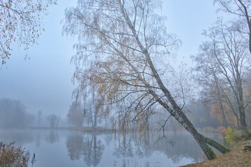 foggy morning in the lakein Tarka Jaworzno polish old holiday resort © pinus25