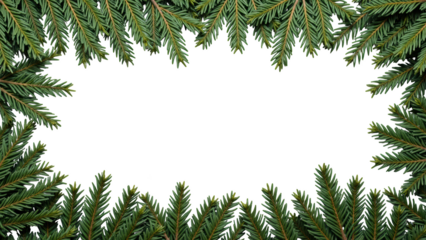 Lush green pine branches frame blank space, creating natural border perfect for seasonal greetings or festive messages