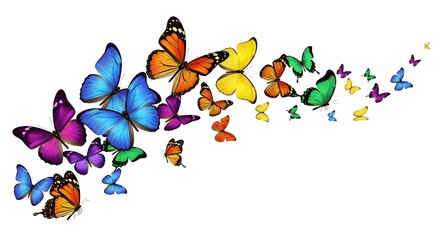 Colorful butterflies flying in a group vibrant vector illustration on a white background perfect for