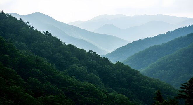 Rolling mountain range covered in lush green forest serene landscape nature background