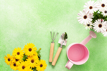 Colorful spring flowers and gardening tools create a charming atmosphere on the balcony. Bright yellow and white blooms stand alongside a watering can, celebrating the joy of spring