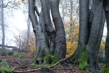 Region Teutoburger Wald