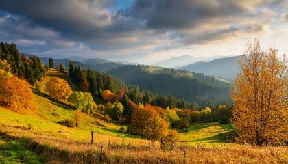 Forest On The Hills Of Carpathian Mountains Countryside Landscape Deciduous Trees On The Hillside In Morning Light Under Cloudy Sky Sunny Autumn Morning