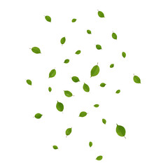 Vibrant Green Leaves Falling and Scattered on a Clean transparent background.