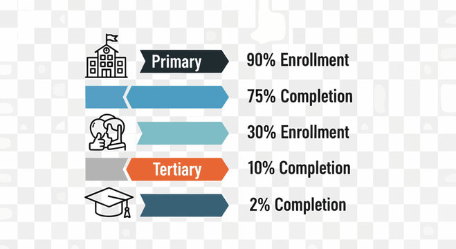 Education Infographic Showing Enrollment And Completion Percentages