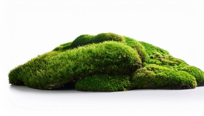 Green Mossy Hill Isolated On White Background