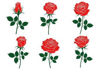 Six red roses