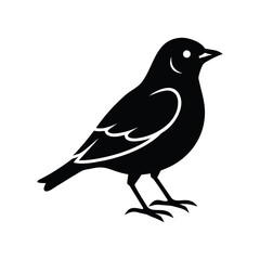 Bird silhouette isolated on white background isolated on transparent background