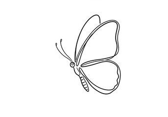 Simple line art butterfly