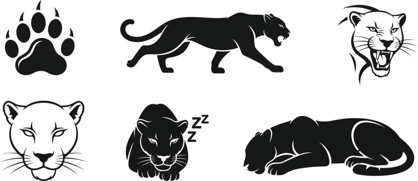 Dynamic set of black panther mascot illustrations and icons, featuring a paw print, roaring head, and various poses