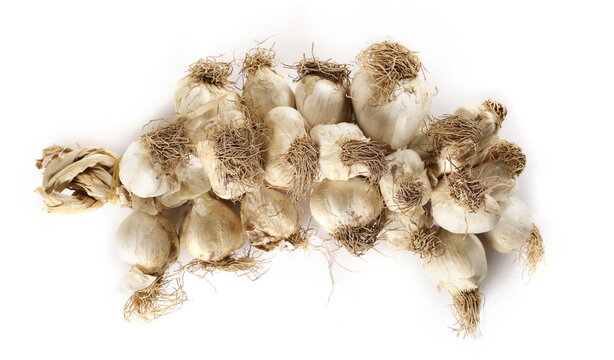 braid garlic isolated on white background, top view
