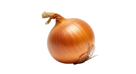Fresh golden brown onion vegetable for culinary recipe needs. isolated on transparent background