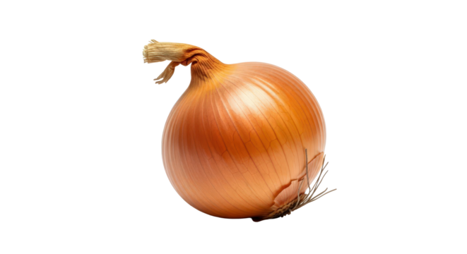 Fresh golden brown onion vegetable for culinary recipe needs. isolated on transparent background