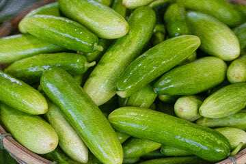 .Background image of organic cucumbers prepared for cooking.