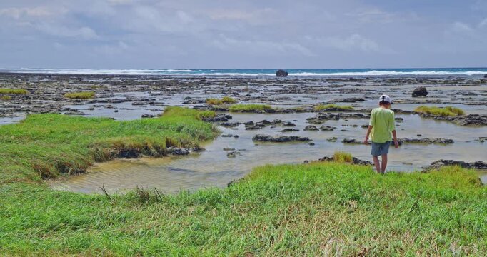 Children observe marine life in the intertidal zone of Okinawa.