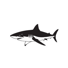 Great white shark in black and white style