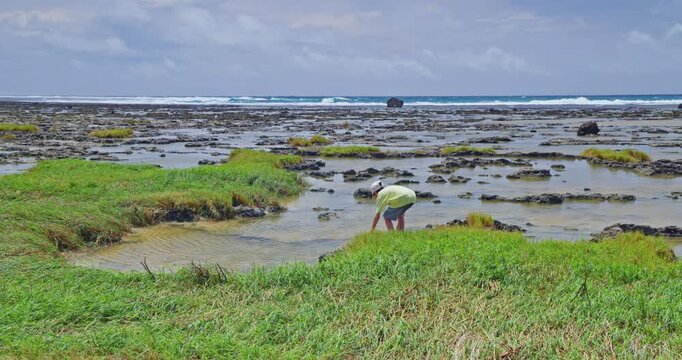 Children observe marine life in the intertidal zone of Okinawa.