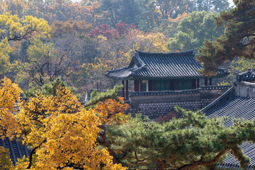 창덕궁 가을 모습