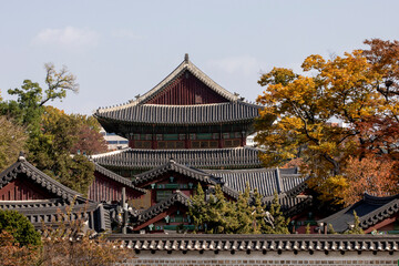 창덕궁 가을 모습