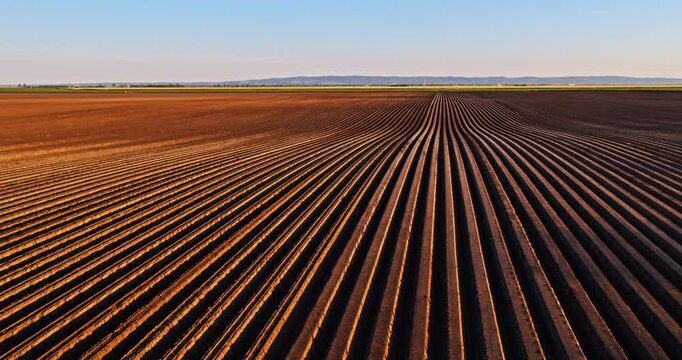 Arable farm field with planting furrows during sunrise
