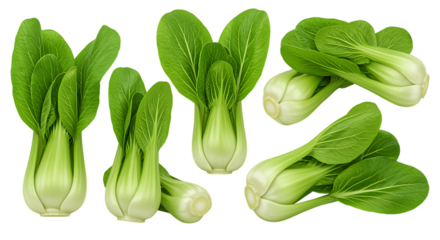 Fresh bok choy leaves in a variety of arrangements on transparent background