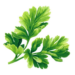 An EPS format illustration, A Simple 2D vibrant celery leaf Collection isolated on a white background, vector, watercolor simple flat 2D icon, minimalist design, collection