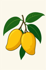 ripe mango vector
