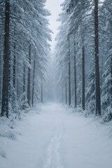 Obraz premium Ultra-Realistic Snow-Covered Scandinavian Pine Forest Morning — Cinematic Winter Nature Photography