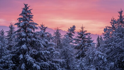 Stunning snow-covered pine forest bathed in vibrant pink and purple twilight sky, evoking winter wonder and natural serenity.
