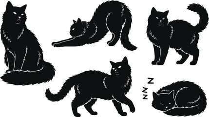 Long-haired black cat silhouette vector set, sleeping, stretching, walking, sitting poses, fluffy tail design, expressive pet icons, isolated on white