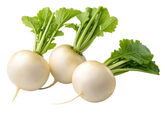 turnips isolated on transparent white background full depth of field clipping path