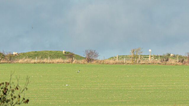 Neolithic age meeting place where animal fairs may have occurred. England.Man made ditches and causeway banks.