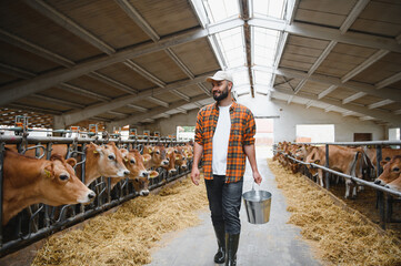 Farmer walking through barn while carrying bucket and looking at jersey cows