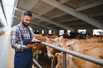 Farmer using digital tablet while monitoring cattle in cowshed