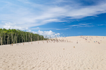 Shifting sand dunes in Łeba. Beautiful desert landscape. Lots of people walking on the dunes. Coastal landscape. Poland. Slowinski National Park.