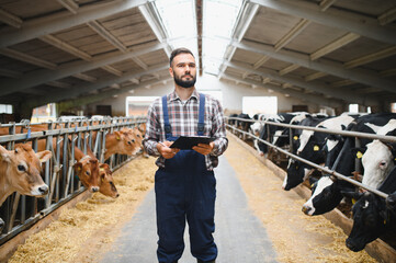 Farmer holding clipboard taking notes on dairy cow farm