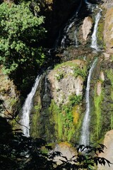 waterfall in the forest