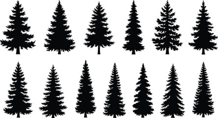 Evergreen tree silhouettes, coniferous forest icons, pine tree shapes, black vector trees, nature elements, botanical symbols, isolated foliage forms © Monira