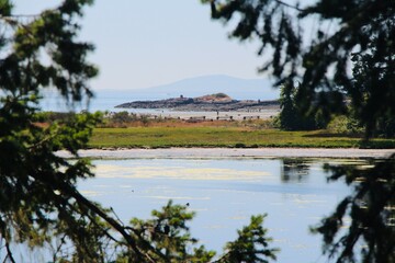 lagoon in british columbia
